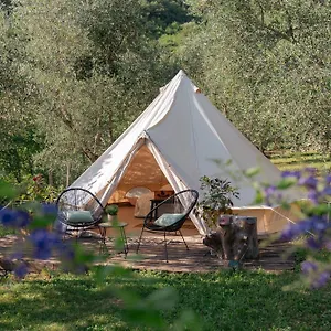  Tente de luxe Tendù